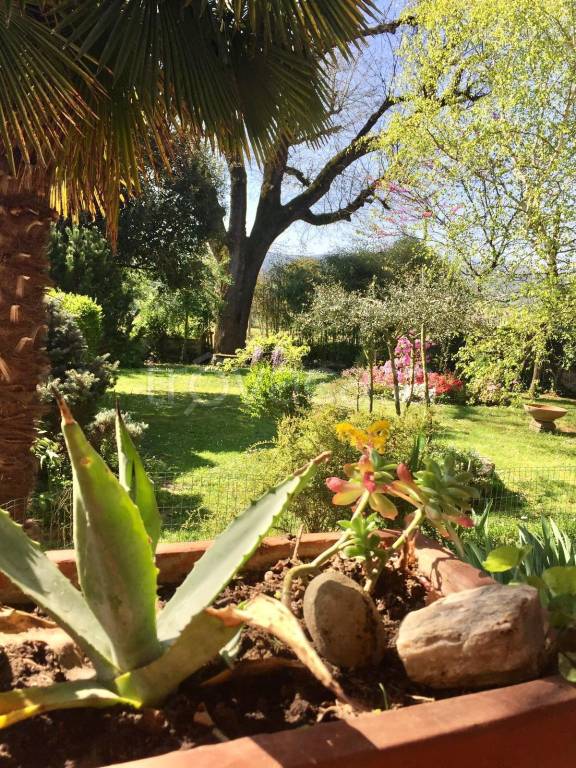 immagine annuncio 2 di 8