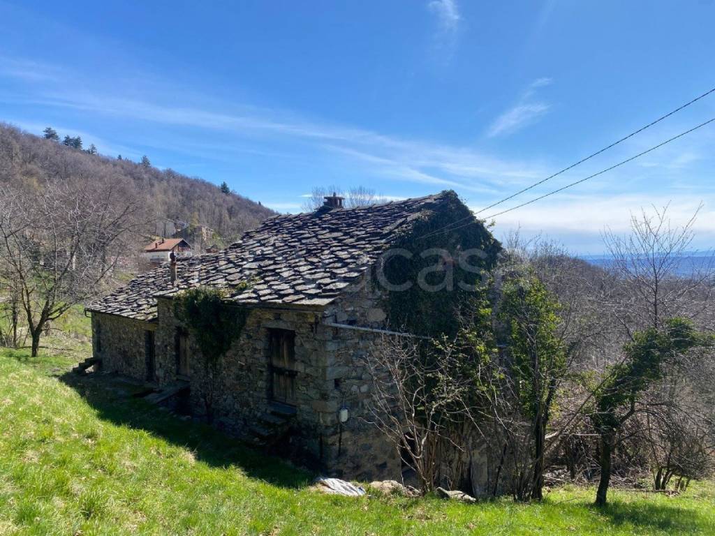 immagine annuncio 4 di 12