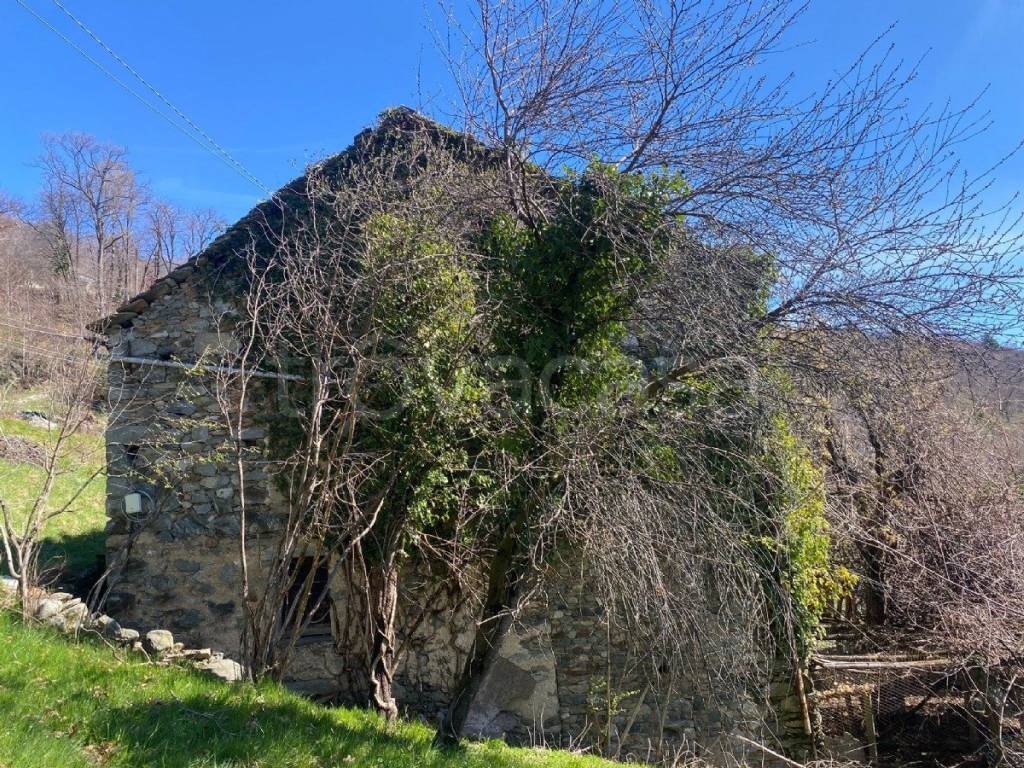 immagine annuncio 5 di 12