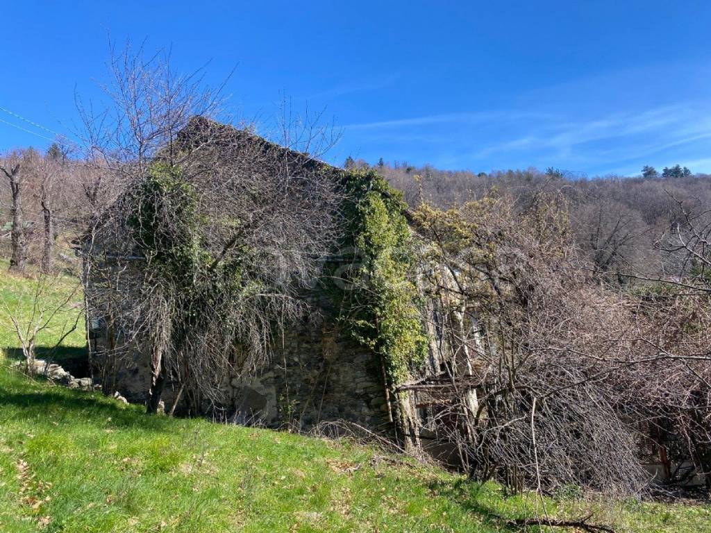 immagine annuncio 9 di 12