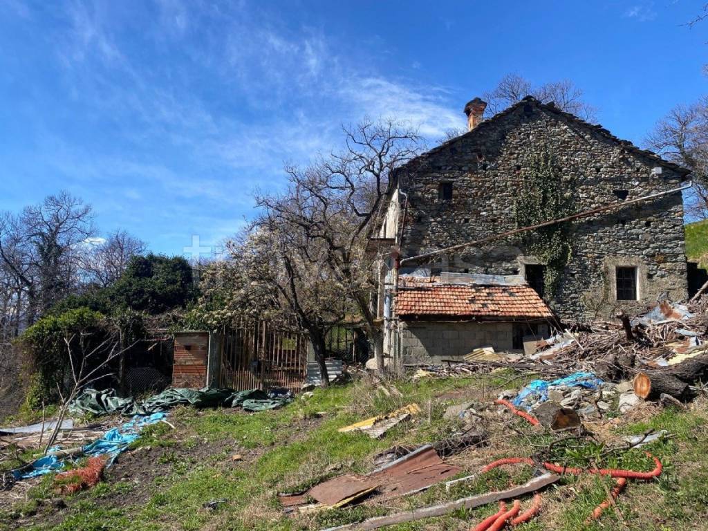 immagine annuncio 10 di 12