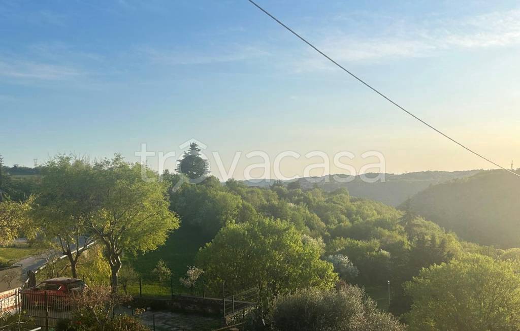 immagine annuncio 2 di 6