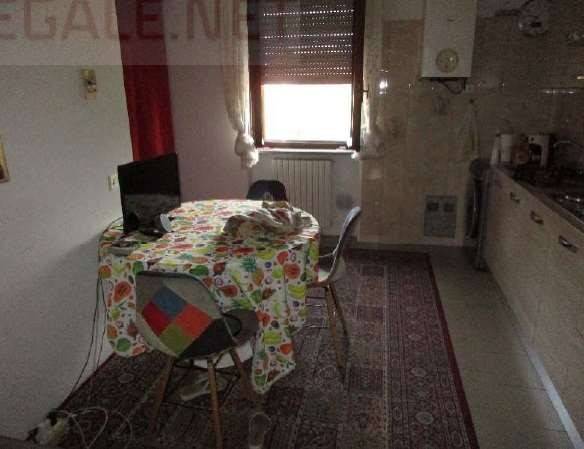 immagine annuncio 10 di 14