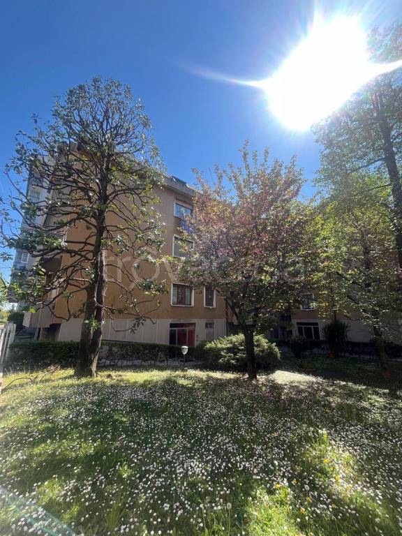 immagine annuncio 1 di 3