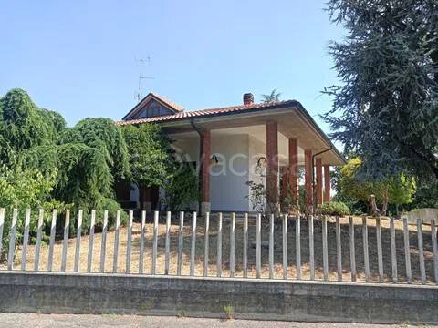 immagine annuncio 1 di 12