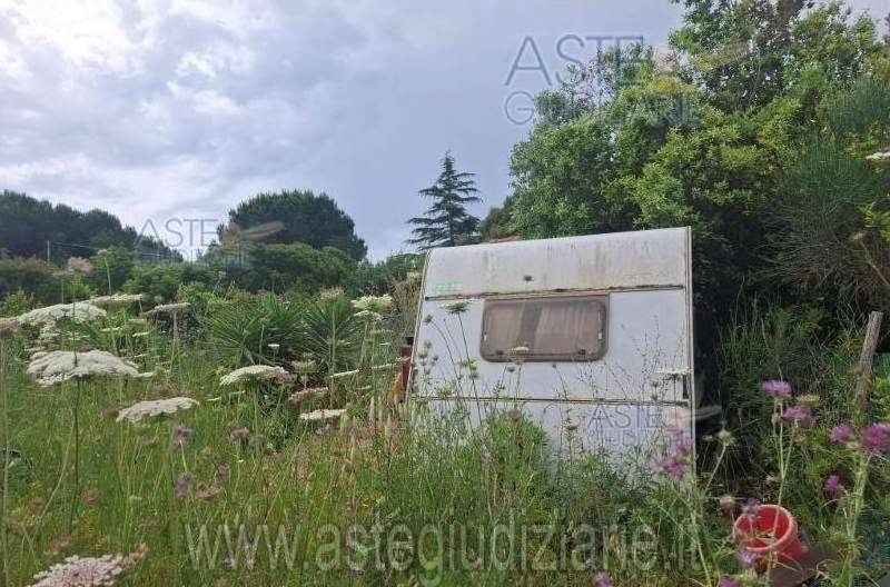 immagine annuncio 5 di 13