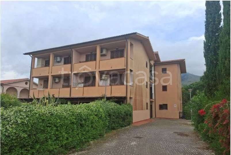 immagine annuncio 10 di 13