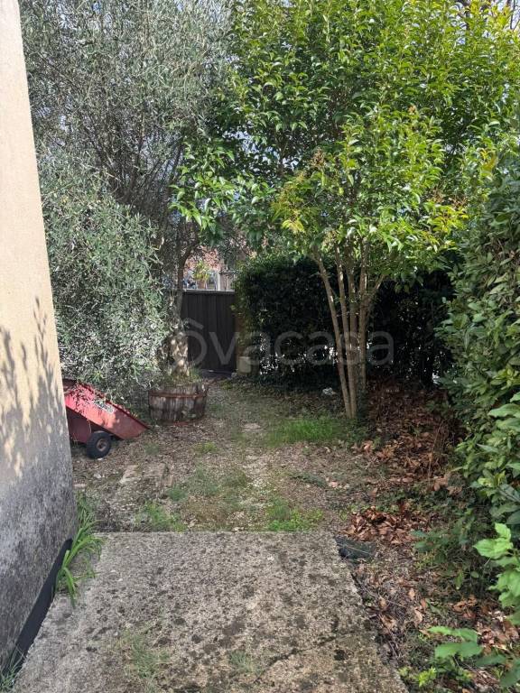 immagine annuncio 9 di 14