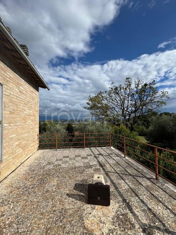 immagine annuncio 7 di 14