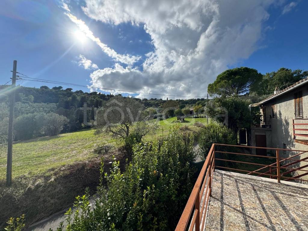 immagine annuncio 11 di 14