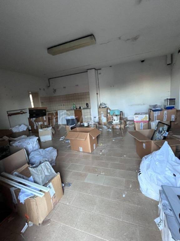 immagine annuncio 2 di 14