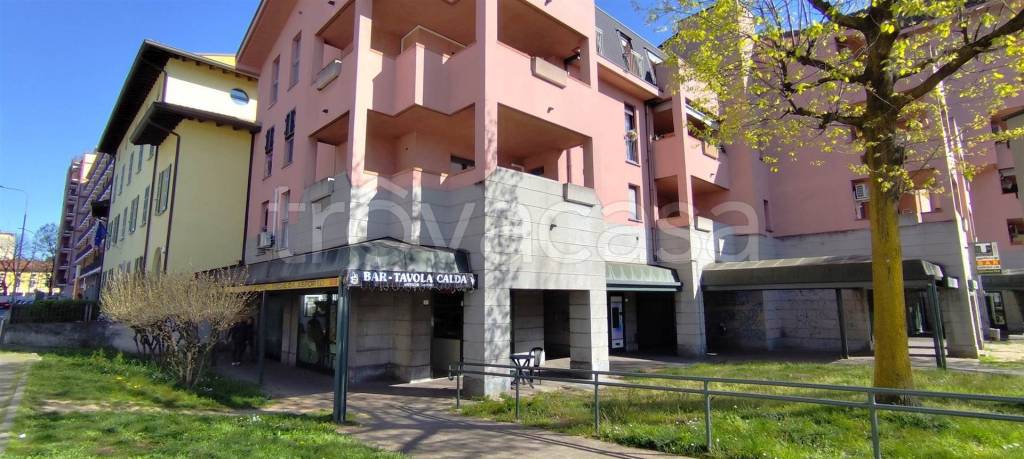 immagine annuncio 3 di 13