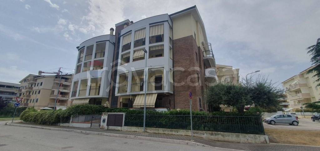 immagine annuncio 1 di 14