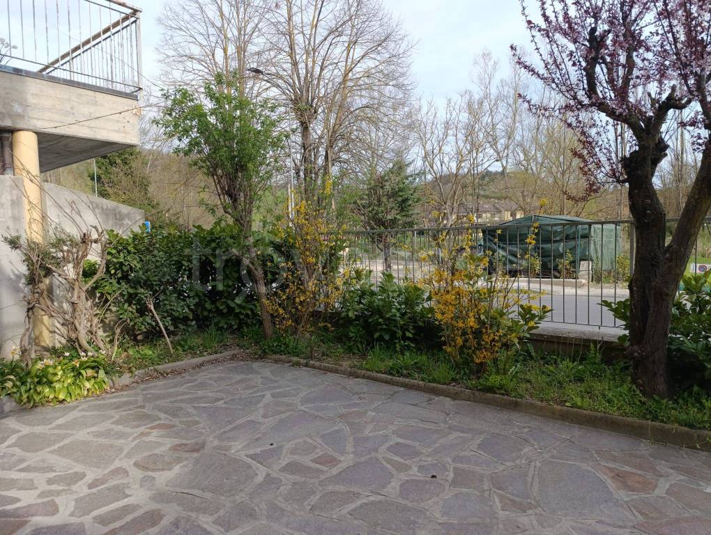 immagine annuncio 2 di 11