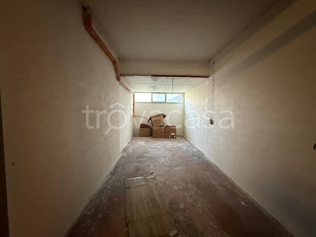 immagine annuncio 10 di 14