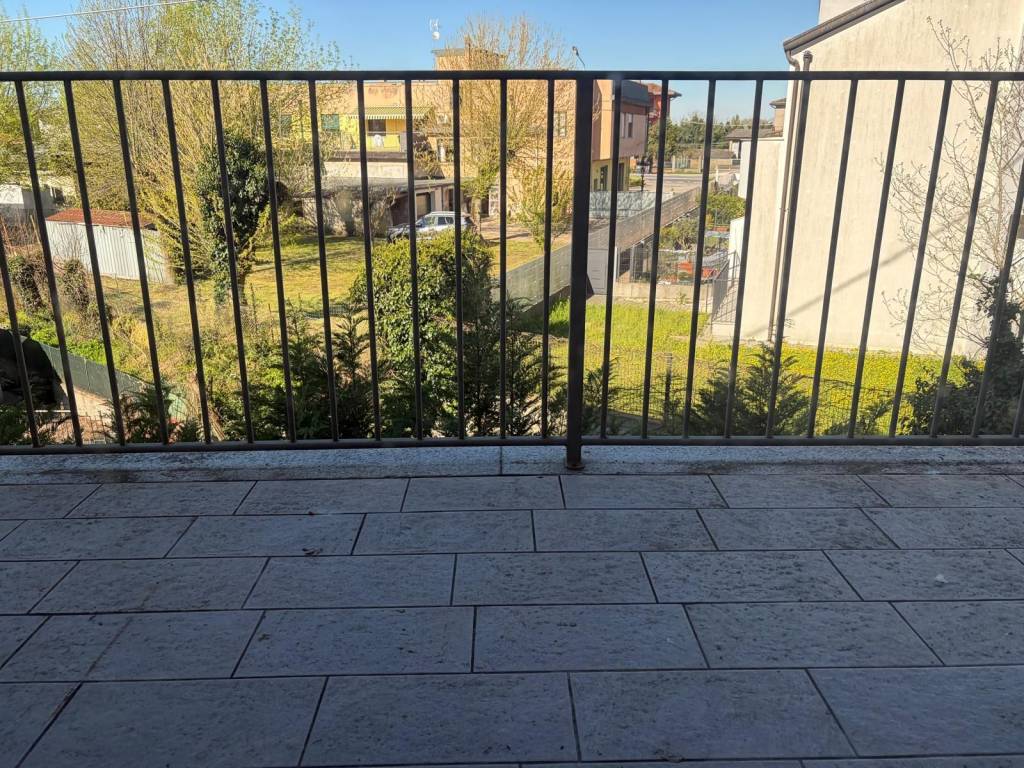 immagine annuncio 2 di 12