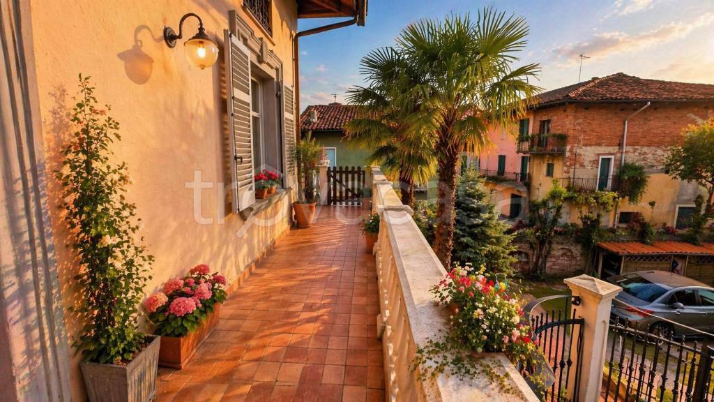 immagine annuncio 3 di 10