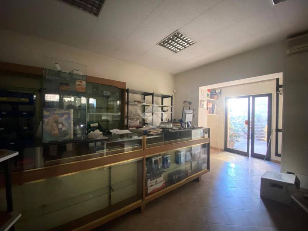 immagine annuncio 10 di 13