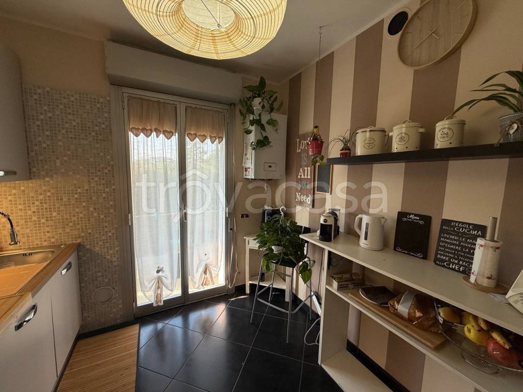 immagine annuncio 2 di 14