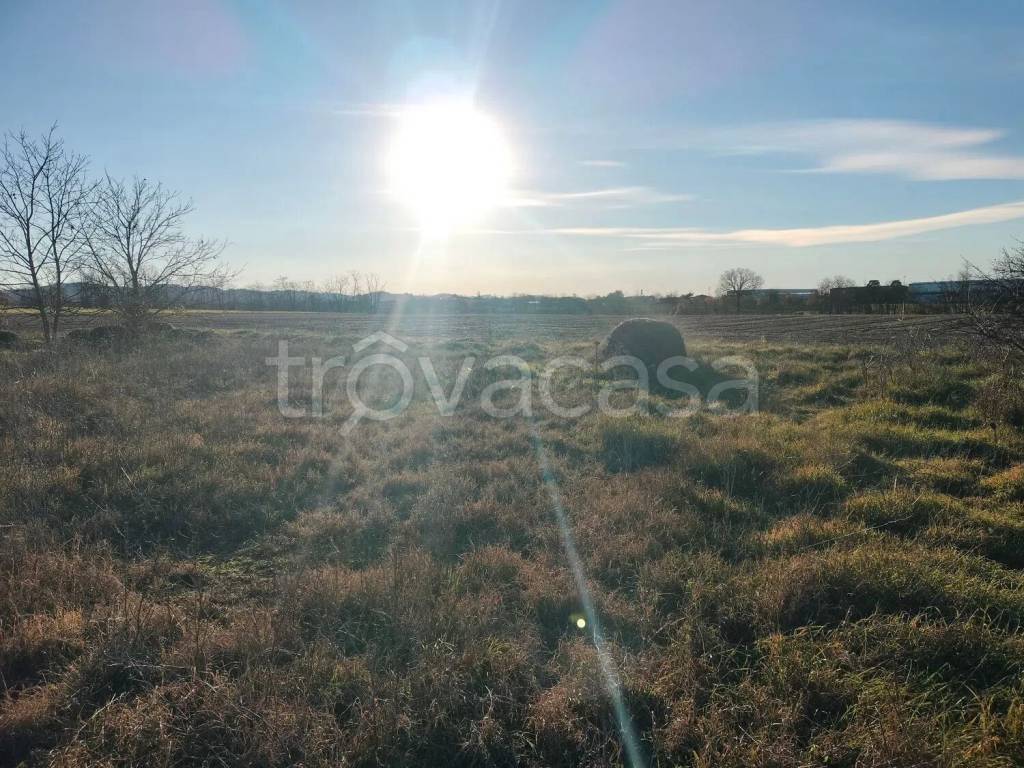 immagine annuncio 2 di 8