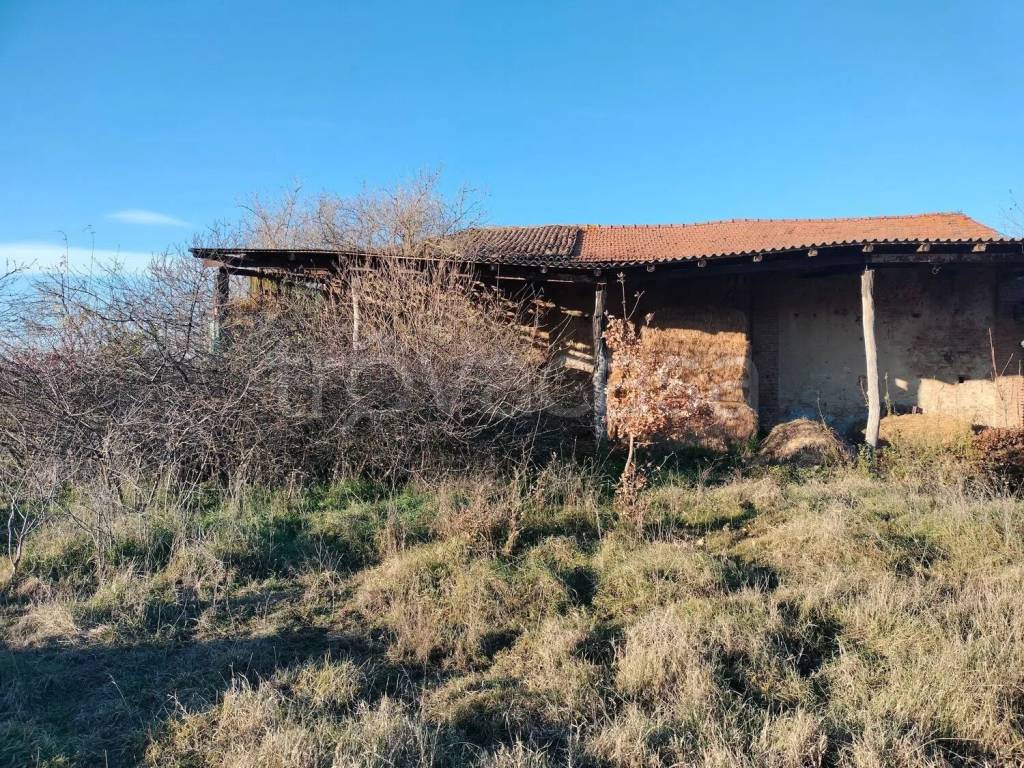 immagine annuncio 5 di 8