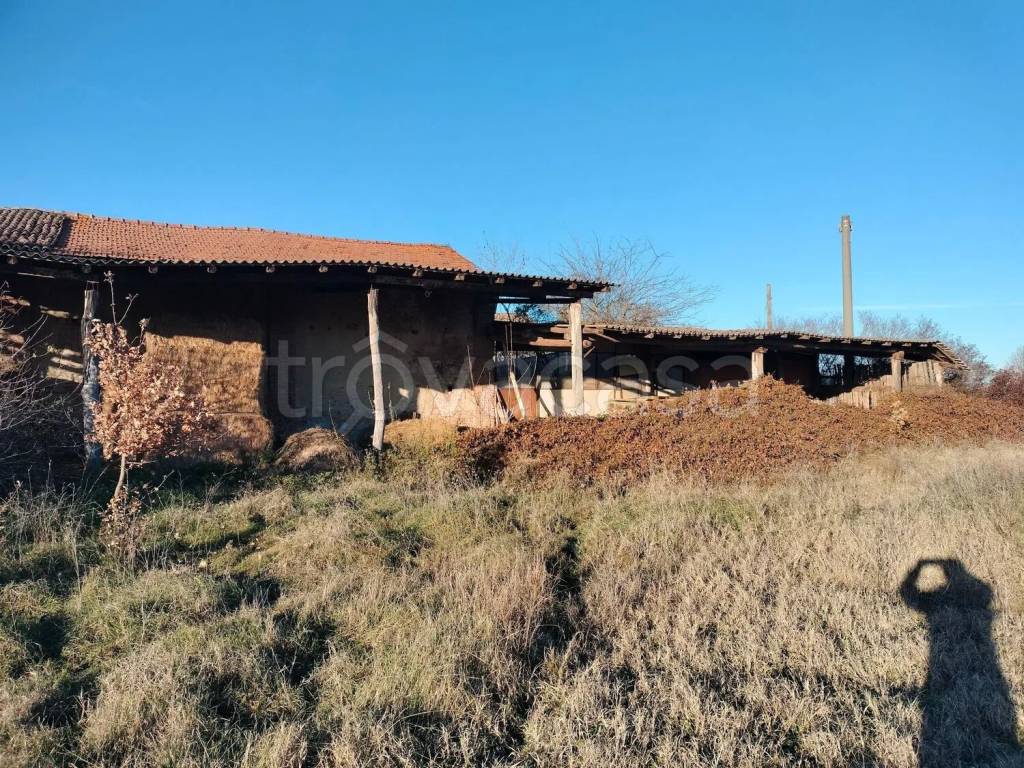 immagine annuncio 6 di 8