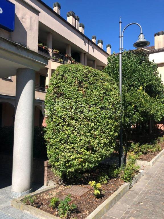 immagine annuncio 1 di 4