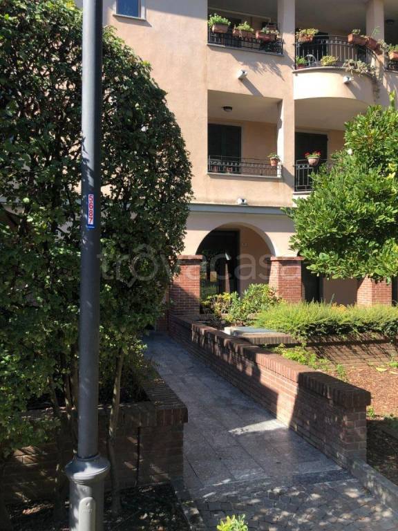 immagine annuncio 2 di 4