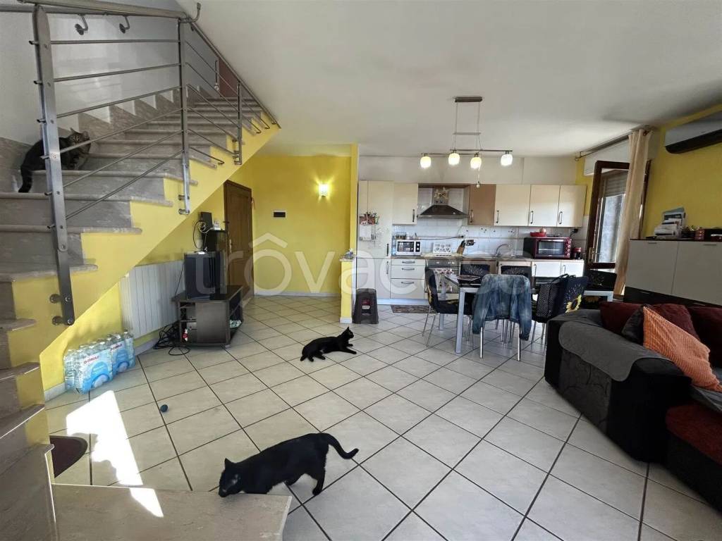 immagine annuncio 2 di 15