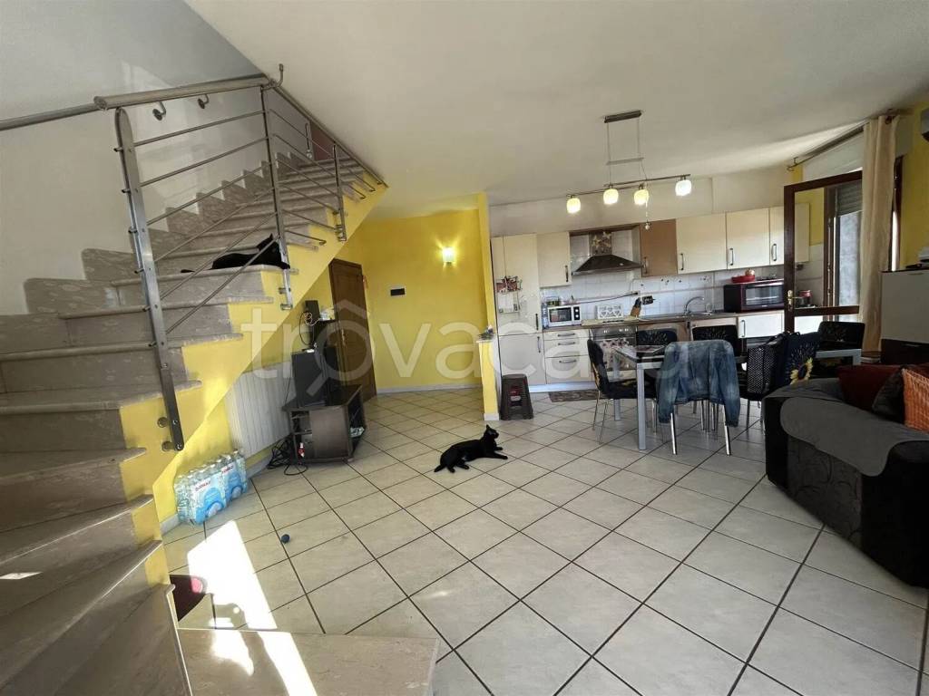 immagine annuncio 11 di 15