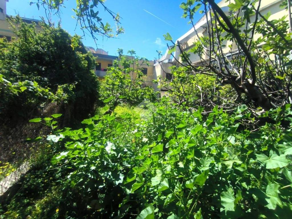 immagine annuncio 6 di 8