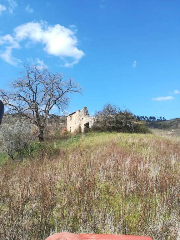 immagine annuncio 5 di 6