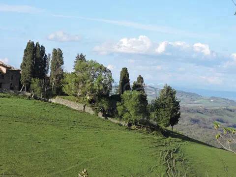 immagine annuncio 2 di 14