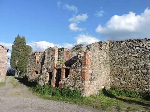 immagine annuncio 4 di 14