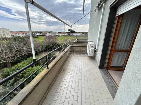 immagine annuncio 7 di 13