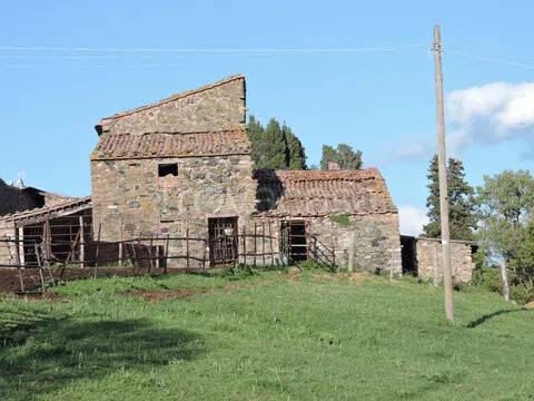 immagine annuncio 9 di 14