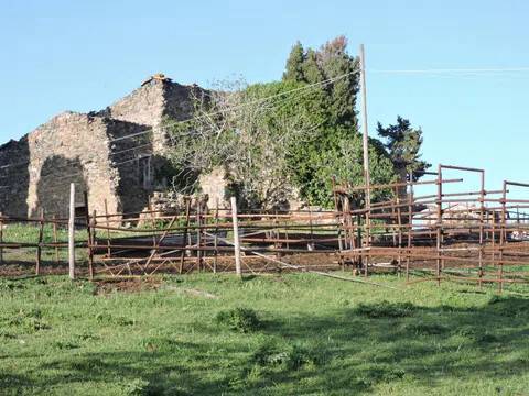 immagine annuncio 10 di 14