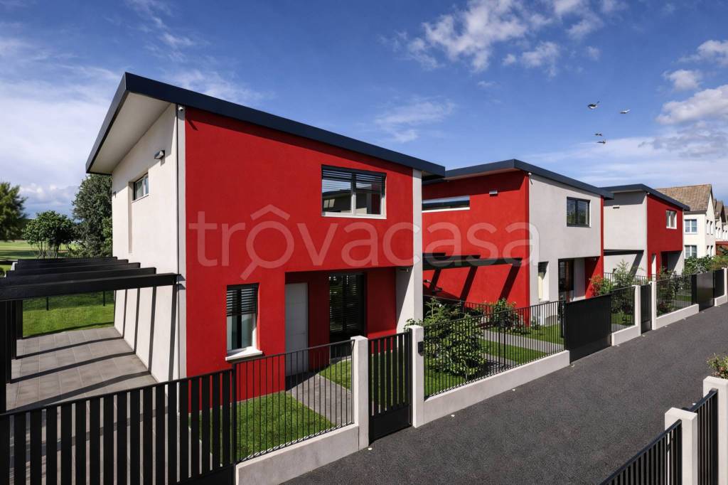 immagine annuncio 9 di 15