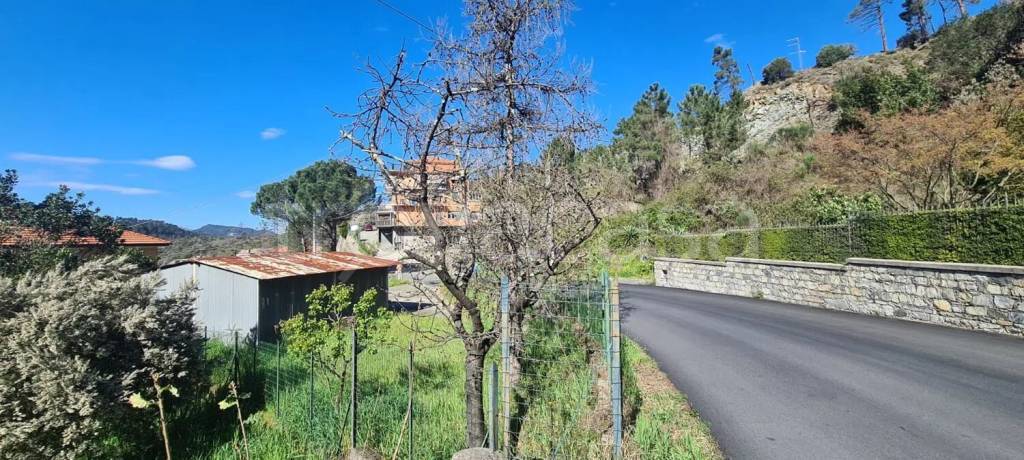 immagine annuncio 3 di 14