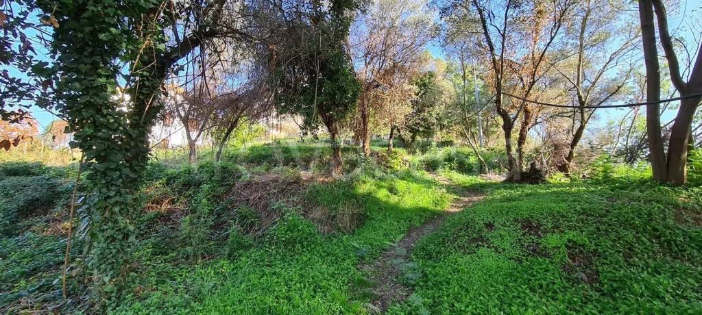 immagine annuncio 4 di 7