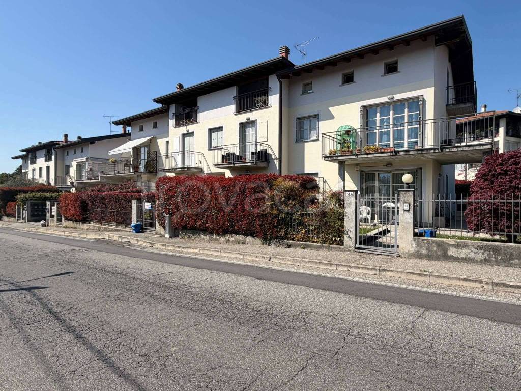 immagine annuncio 12 di 15