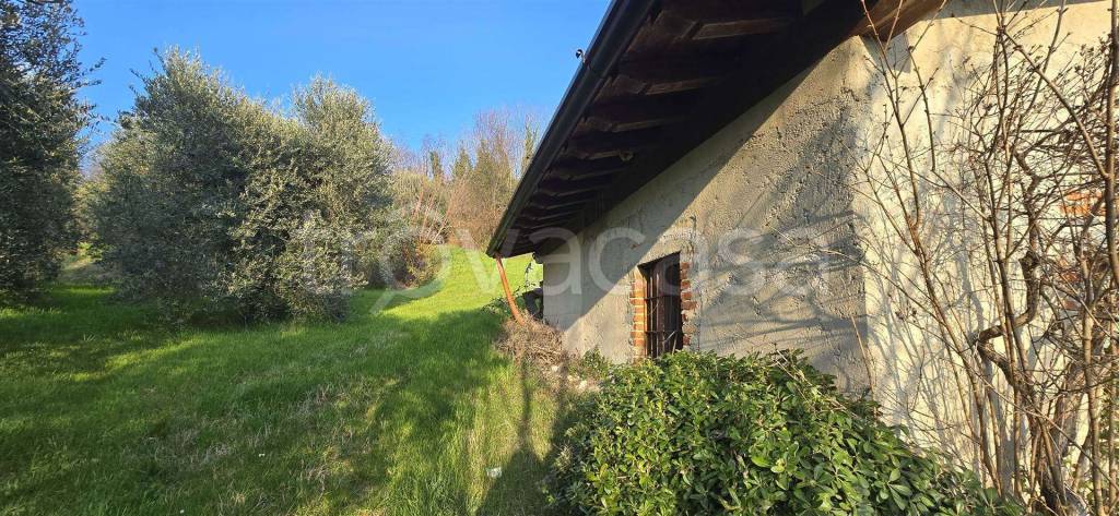 immagine annuncio 10 di 15