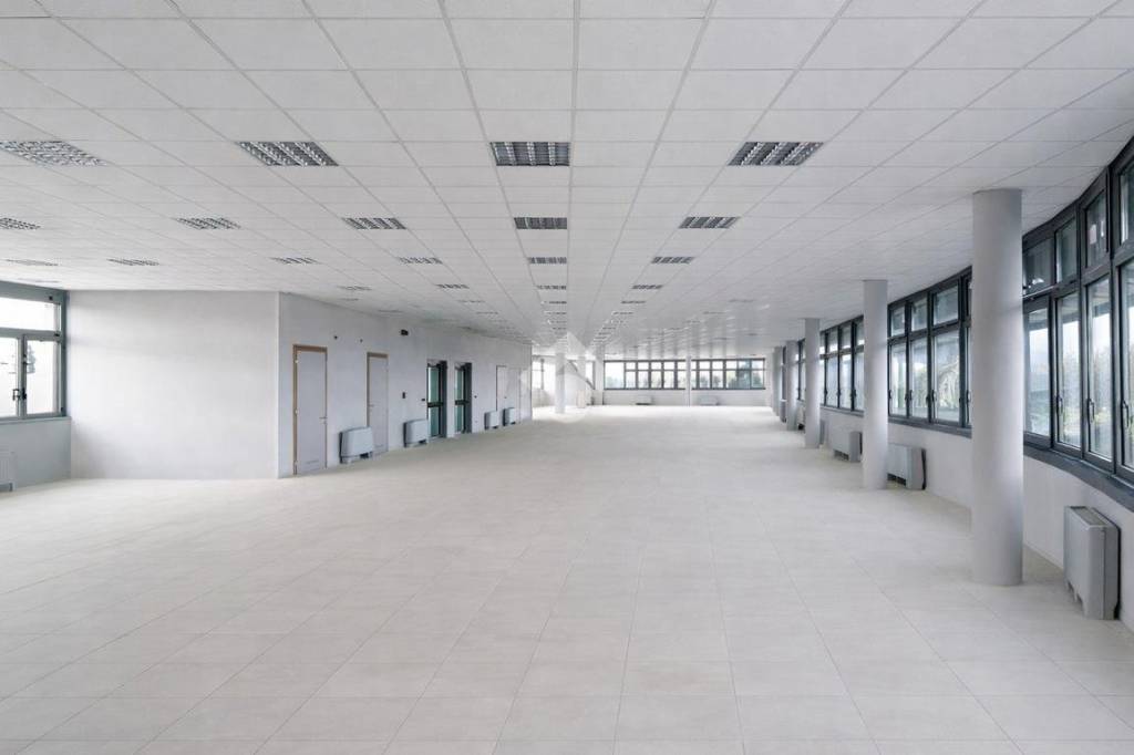 immagine annuncio 6 di 12