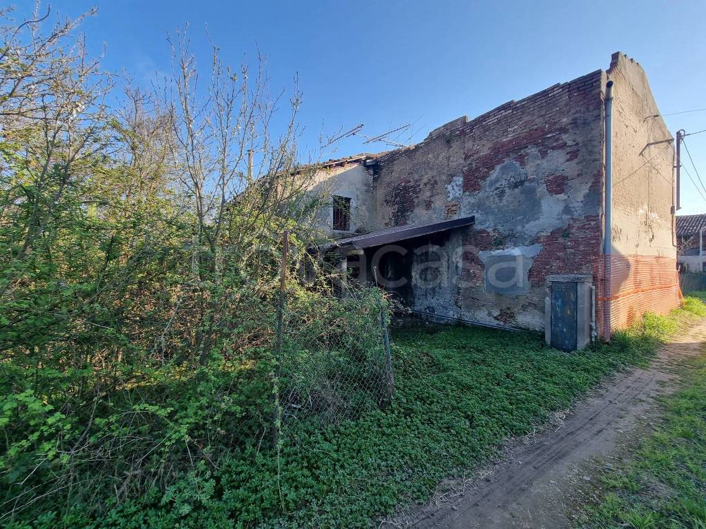 immagine annuncio 4 di 14