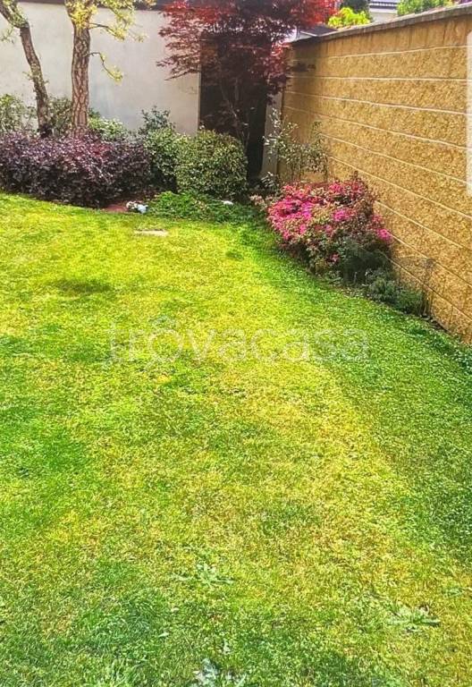 immagine annuncio 9 di 12