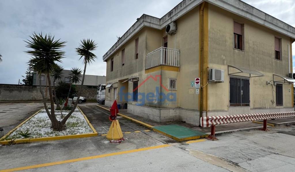 immagine annuncio 1 di 9