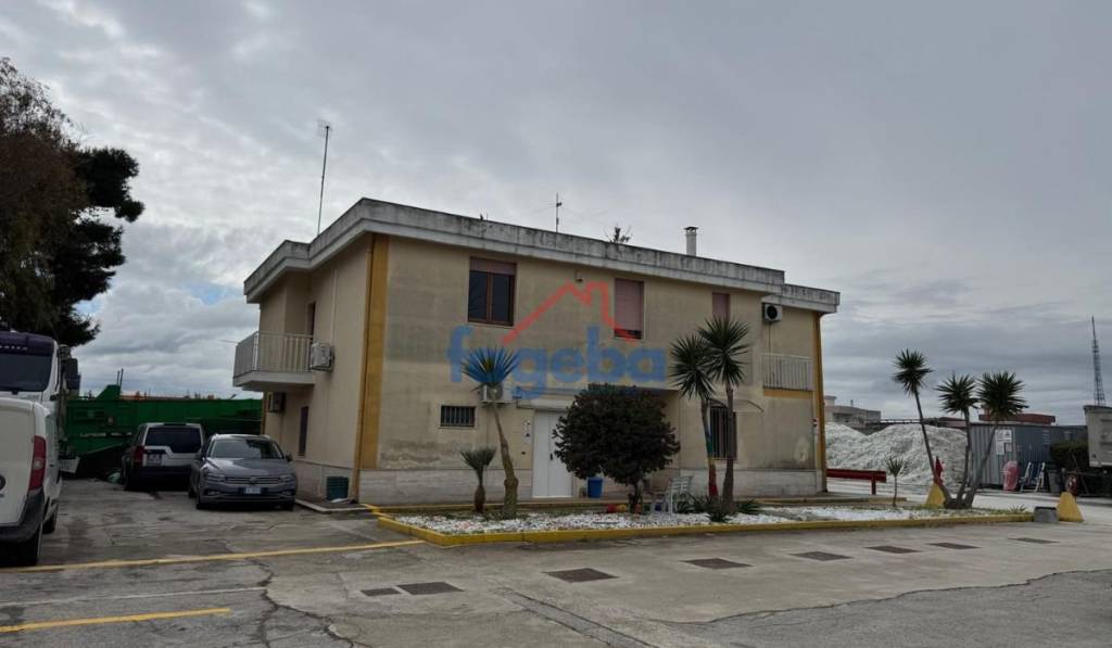 immagine annuncio 4 di 9