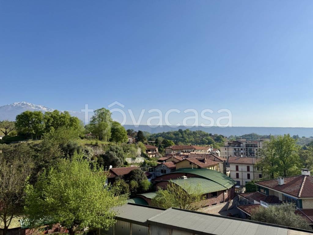 immagine annuncio 4 di 13