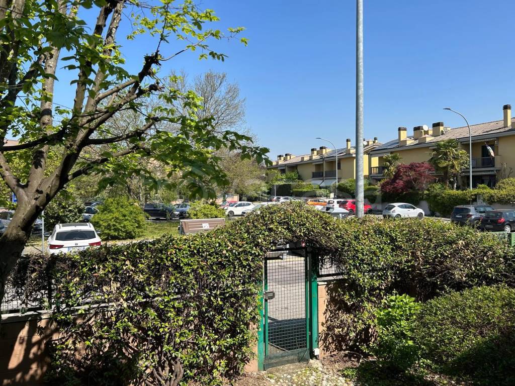 immagine annuncio 5 di 15