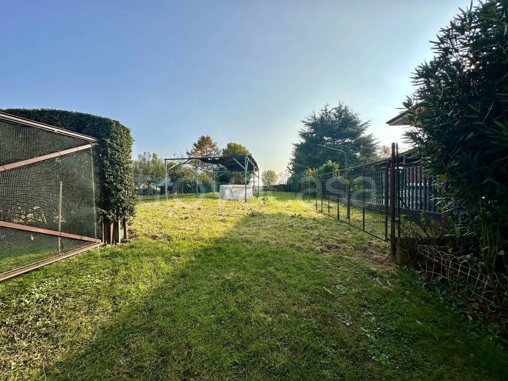 immagine annuncio 6 di 15